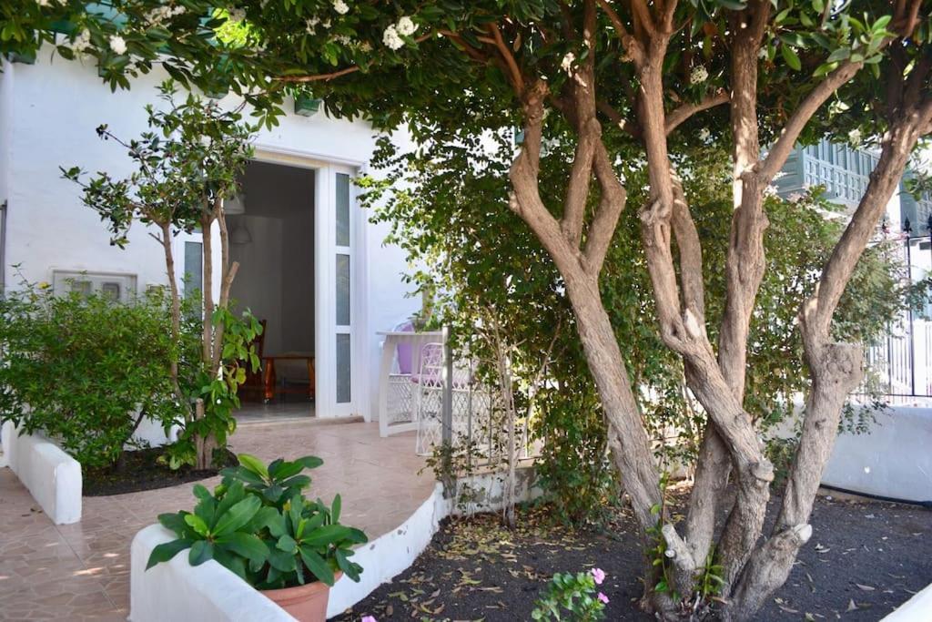 Playa Chica Apt With Terrace 100 M From The Sea Puerto del Carmen (Lanzarote) Exterior foto